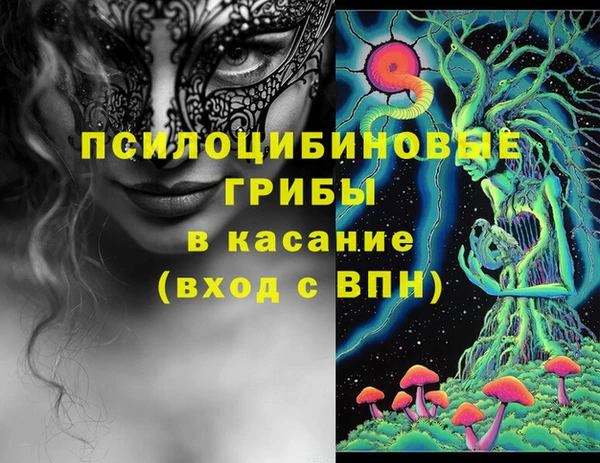 бошки Абаза