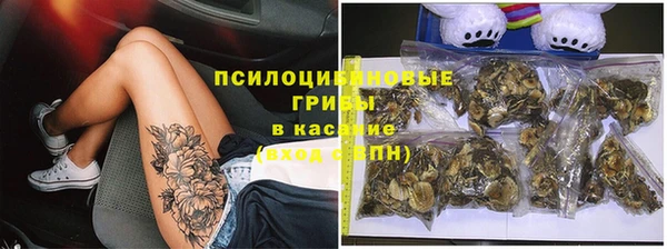 бошки Абаза